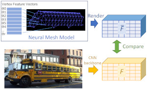 NeMo: Neural Mesh Models of Contrastive Features for Robust 3D Pose Estimation